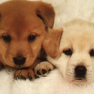 Meet your Posher, Mikayla